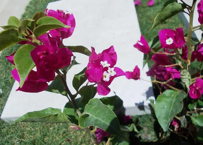 Villa Lighthouse Lydia *