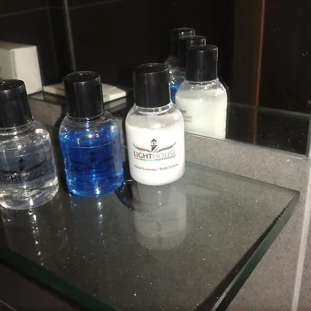 灯塔莉迪亚别墅 * 费特希耶