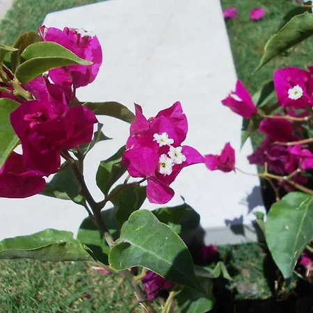 Вилла Lighthouse Lydia *