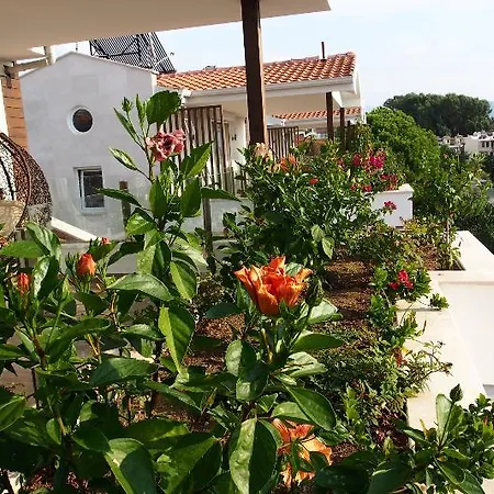 Lighthouse Lydia Willa